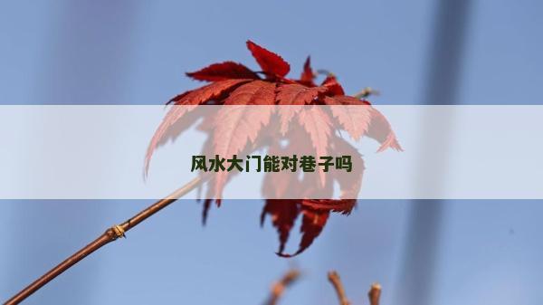 風水大門能對巷子嗎