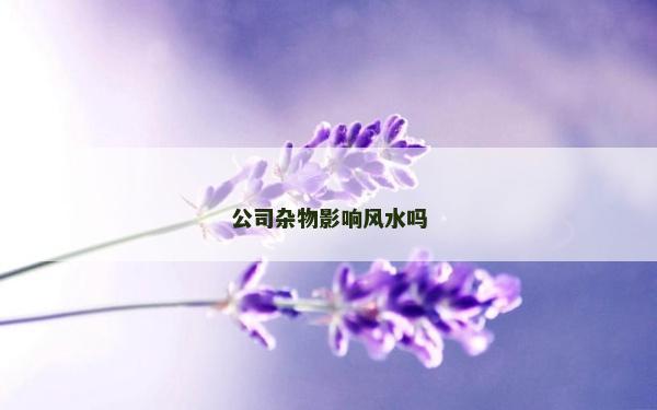 公司雜物影響風(fēng)水嗎