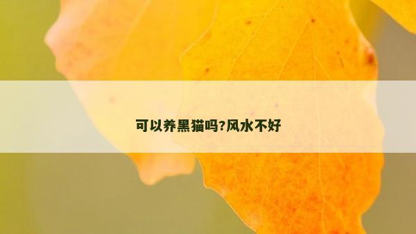 可以養黑貓嗎?風水不好