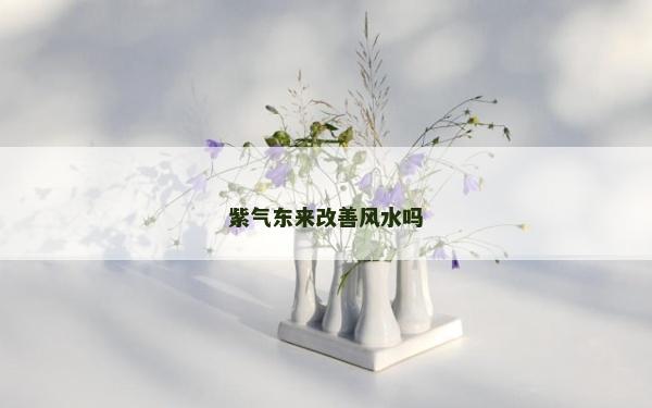 紫氣東來改善風水嗎