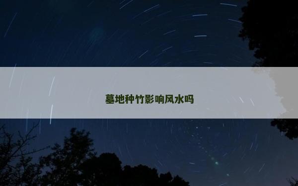 墓地種竹影響風水嗎
