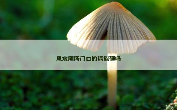 風水廁所門口的墻能砸嗎