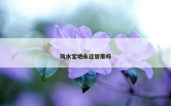 風水寶地永遠管用嗎 風水寶地永遠管用嗎
