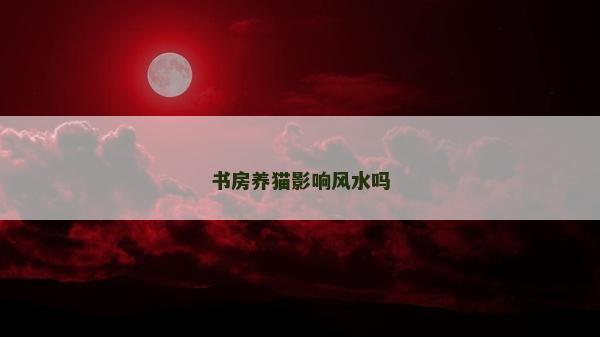 書房養貓影響風水嗎 書房養貓影響風水嗎