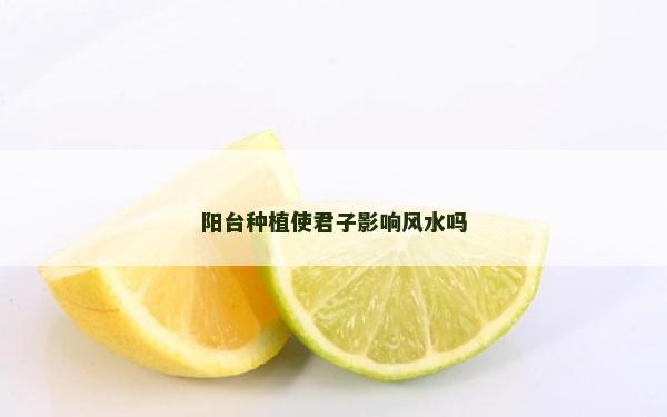 陽臺種植使君子影響風(fēng)水嗎