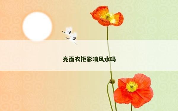 亮面衣柜影響風(fēng)水嗎