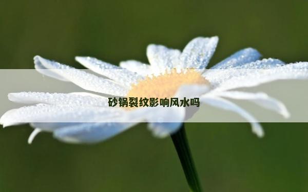 砂鍋裂紋影響風水嗎 砂鍋裂紋影響風水嗎