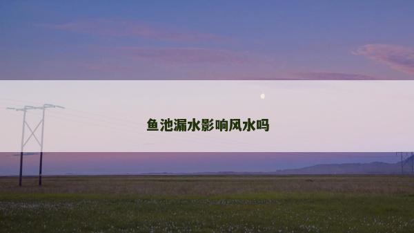 魚池漏水影響風(fēng)水嗎 魚池漏水影響風(fēng)水嗎