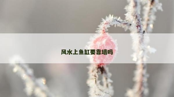 風水上魚缸要靠墻嗎