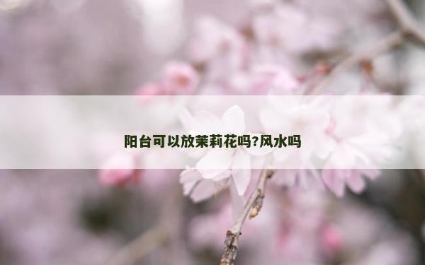 陽臺(tái)可以放茉莉花嗎?風(fēng)水嗎