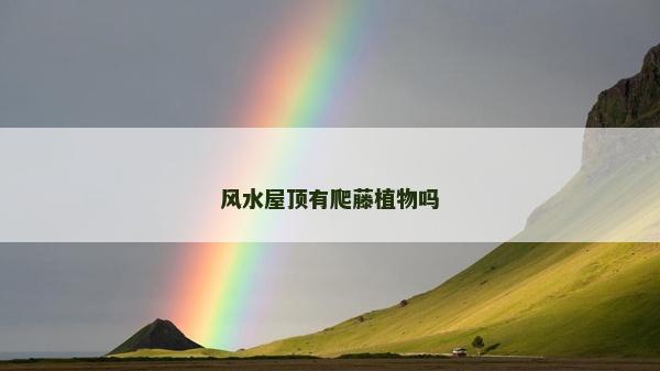 風(fēng)水屋頂有爬藤植物嗎