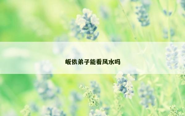 皈依弟子能看風(fēng)水嗎 皈依弟子能看風(fēng)水嗎