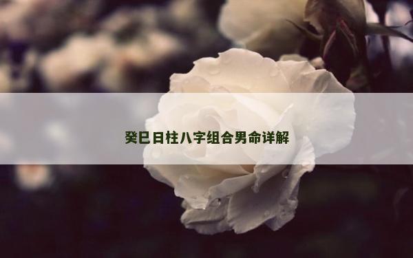 癸巳日柱八字組合男命詳解