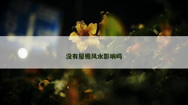 沒有屋檐風水影響嗎 沒有屋檐風水影響嗎