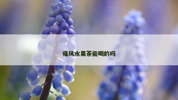 痛風(fēng)水果茶能喝的嗎