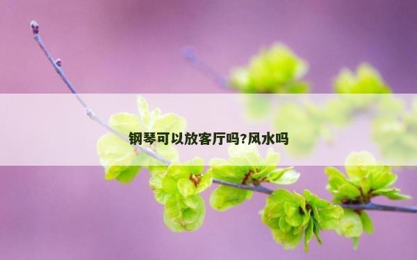鋼琴可以放客廳嗎?風水嗎