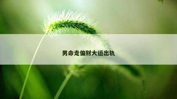 男命走偏財大運出軌