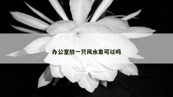 辦公室放一只風水象可以嗎