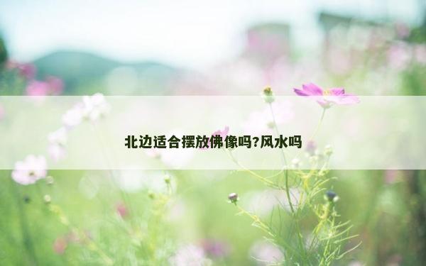 北邊適合擺放佛像嗎?風水嗎