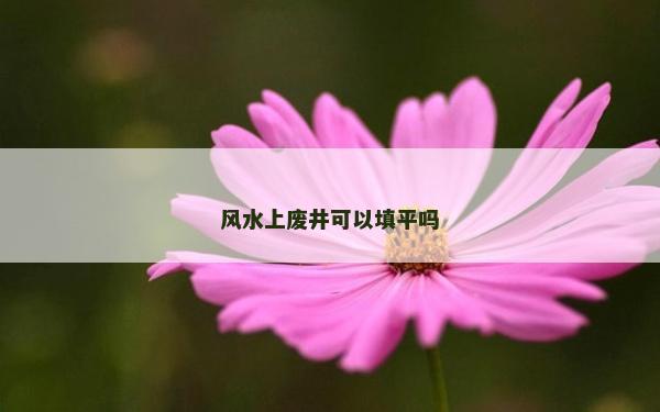 風水上廢井可以填平嗎