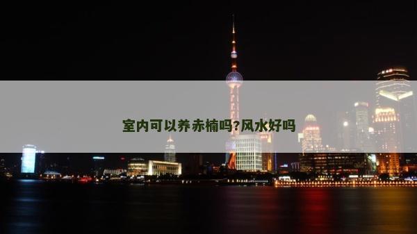 室內可以養赤楠嗎?風水好嗎