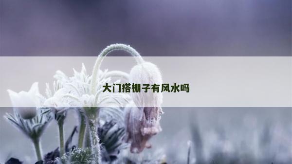 大門搭棚子有風水嗎 大門搭棚子有風水嗎