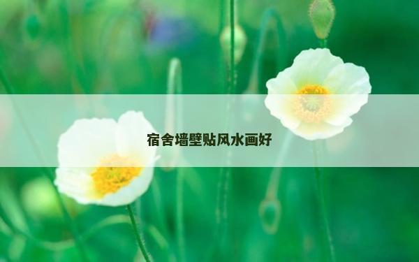 宿舍墻壁貼風水畫好