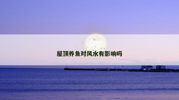 屋頂養魚對風水有影響嗎