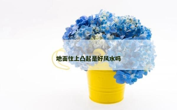 地面往上凸起是好風水嗎