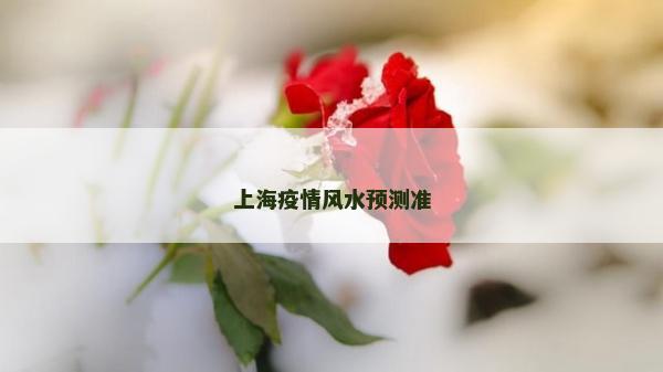 上海疫情風水預測準 上海疫情風水預測準