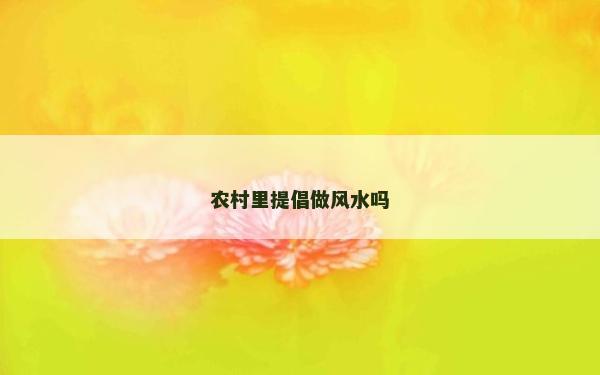 農村里提倡做風水嗎