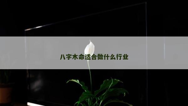 八字木命適合做什么行業