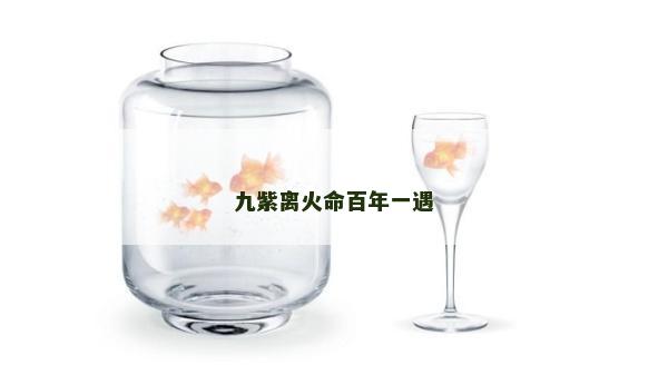 九紫離火命百年一遇