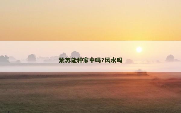 紫蘇能種家中嗎?風(fēng)水嗎