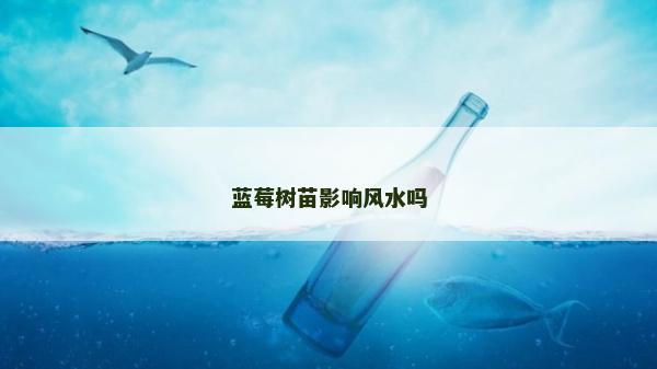 藍莓樹苗影響風水嗎 藍莓樹苗影響風水嗎