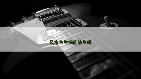 風水魚生病能放生嗎
