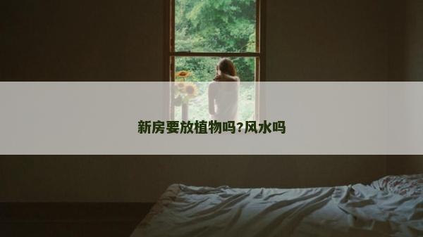 新房要放植物嗎?風(fēng)水嗎