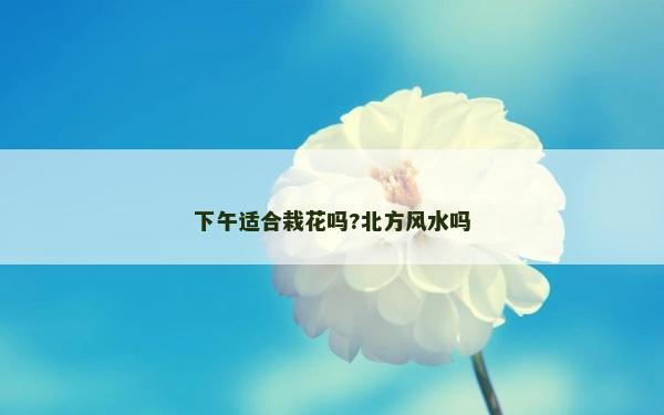 下午適合栽花嗎?北方風(fēng)水嗎 下午適合栽花嗎?北方風(fēng)水嗎
