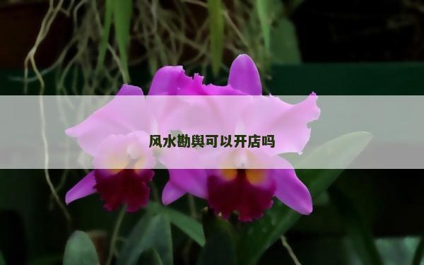 風水勘輿可以開店嗎 風水勘輿可以開店嗎