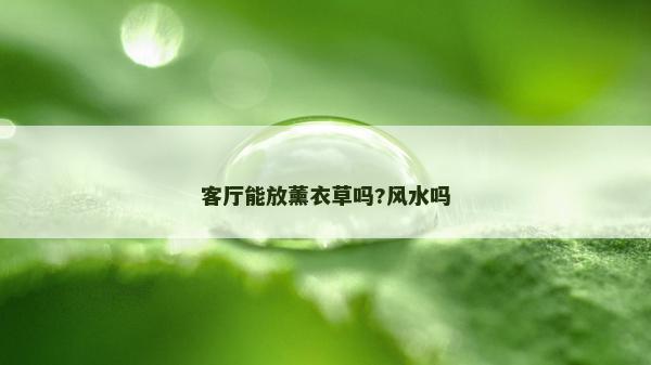 客廳能放薰衣草嗎?風(fēng)水嗎