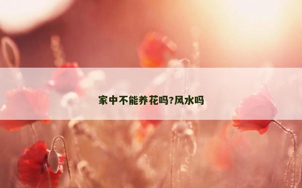 家中不能養花嗎?風水嗎