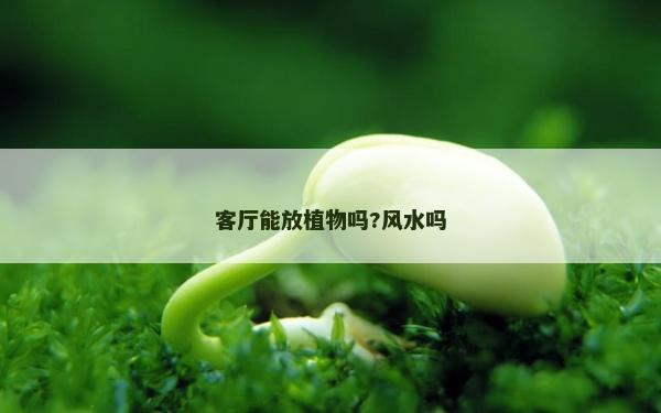客廳能放植物嗎?風(fēng)水嗎 客廳能放植物嗎?風(fēng)水嗎