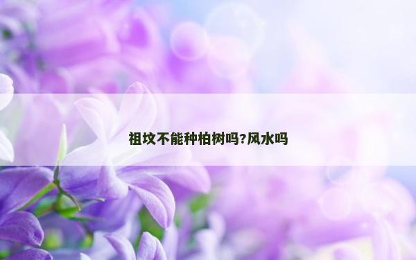 祖墳不能種柏樹嗎?風水嗎