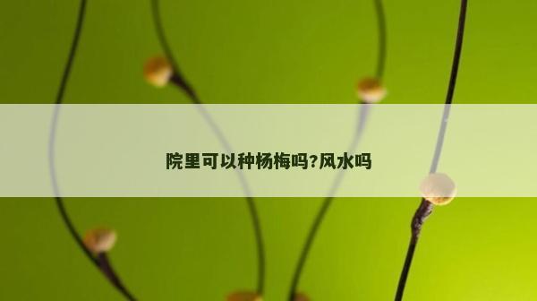 院里可以種楊梅嗎?風水嗎