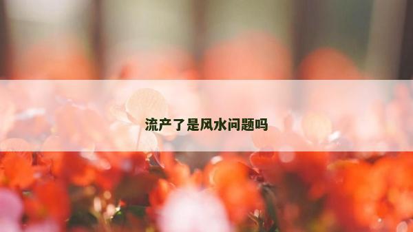 流產(chǎn)了是風水問題嗎