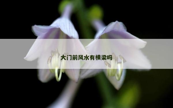 大門前風水有橫梁嗎