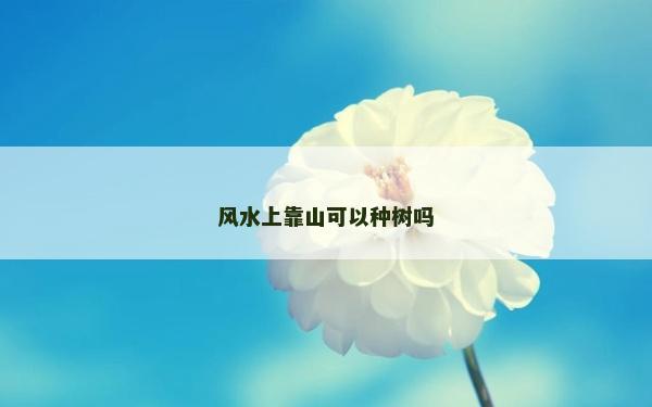 風水上靠山可以種樹嗎