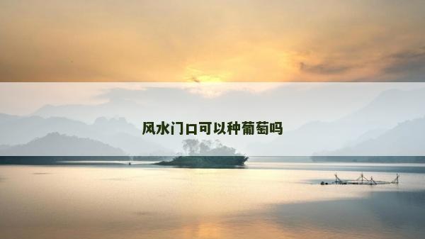 風(fēng)水門口可以種葡萄嗎