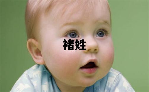 褚姓有涵養的男孩名字