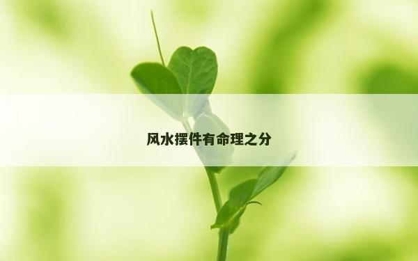 風(fēng)水?dāng)[件有命理之分